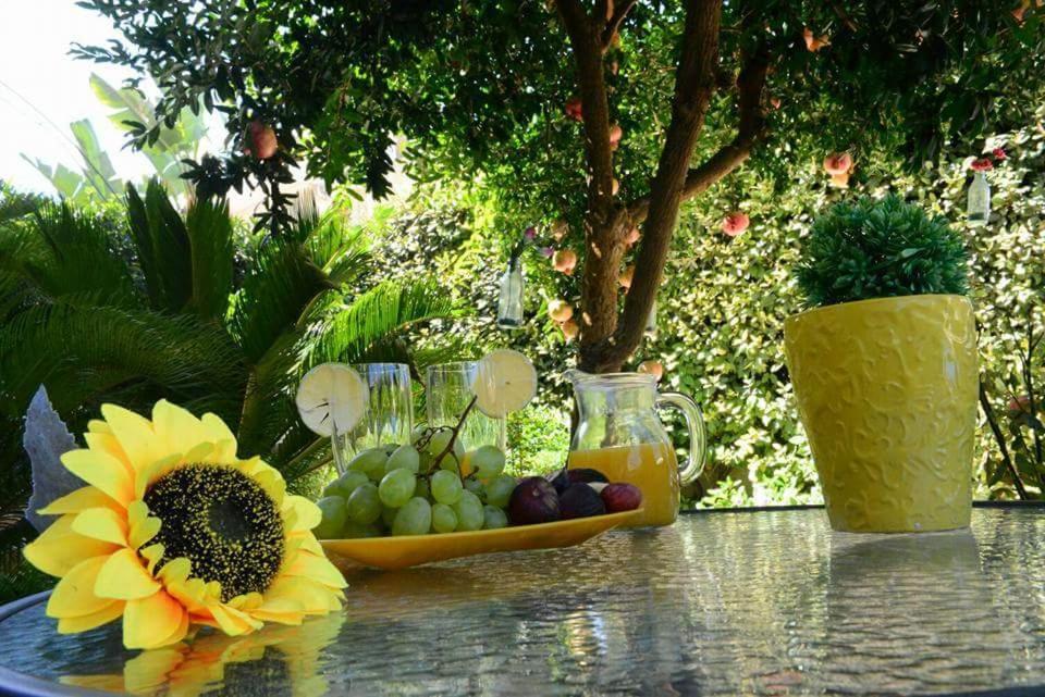 Profumo Di Mare B&B Gallipoli Bagian luar foto