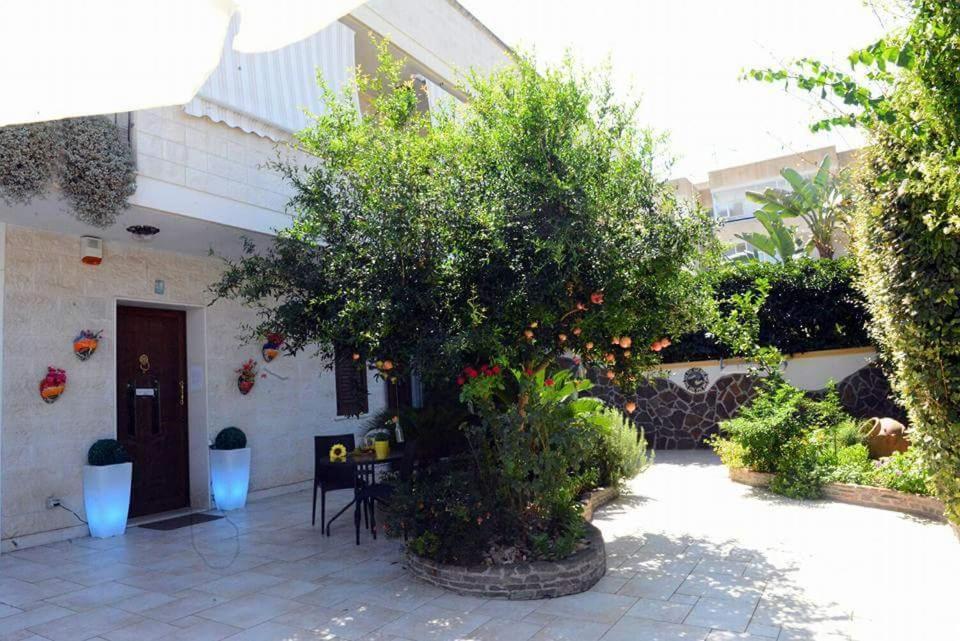 Profumo Di Mare B&B Gallipoli Bagian luar foto